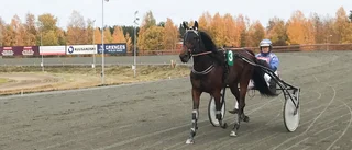 Celeste Brodda på väg mot seger – blev snöpligt avslagen
