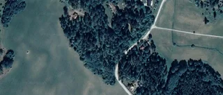 Nya ägaren ärver mark i Tierps kommun