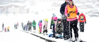 Full fart på Vitbergsområdet