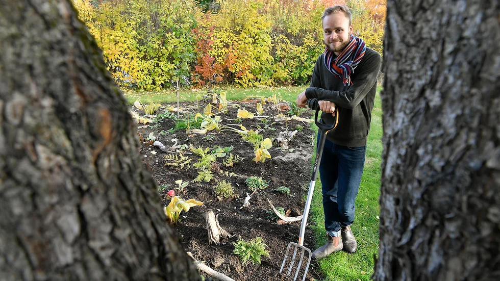 I Anton Sundins trädgård ska ormbunkarna få ett eget land att växa i. Och så har han skrivit en bok om dem också. 