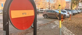 Våldtäktsförsöket i lägenheten: Så kunde polisen gripa 27-åringen