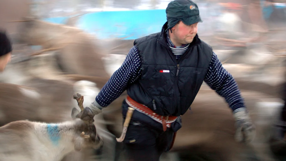 Anders-Erling Fjällås, Semisjaur-Njarg sameby, har fått till sig från det aktuella företaget, att det troligtvis är på samebyns marker som renjakten med lastbil ägt rum. 