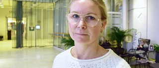 Inga lösningar finns för en ny E 4 vid Norrbotniabanan