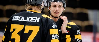 Live: Följ träningsmatchen mellan Luleå Hockey och Skellefteå AIK