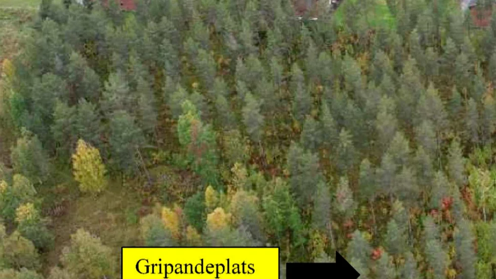 Med hjälp av en drönare tog polisen den här bilden som visar ungefär var 30-åringen greps i skogspartiet 