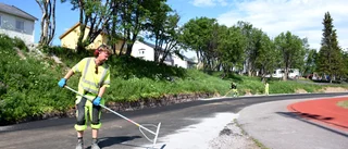 Nu är tiomiljonersprojektet snart i mål