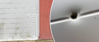 Fyra män åtalas efter dödsskjutningen