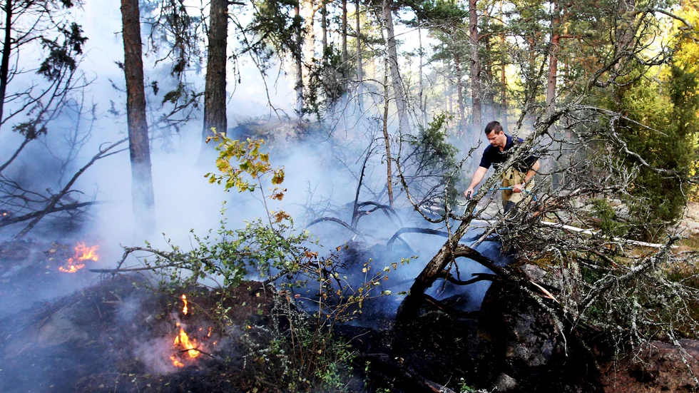 Räddningstjänsten uppmanar allmänheten att undvika all eldning i skog och mark.