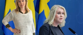 Dags att lyssna till experterna, Hallengren
