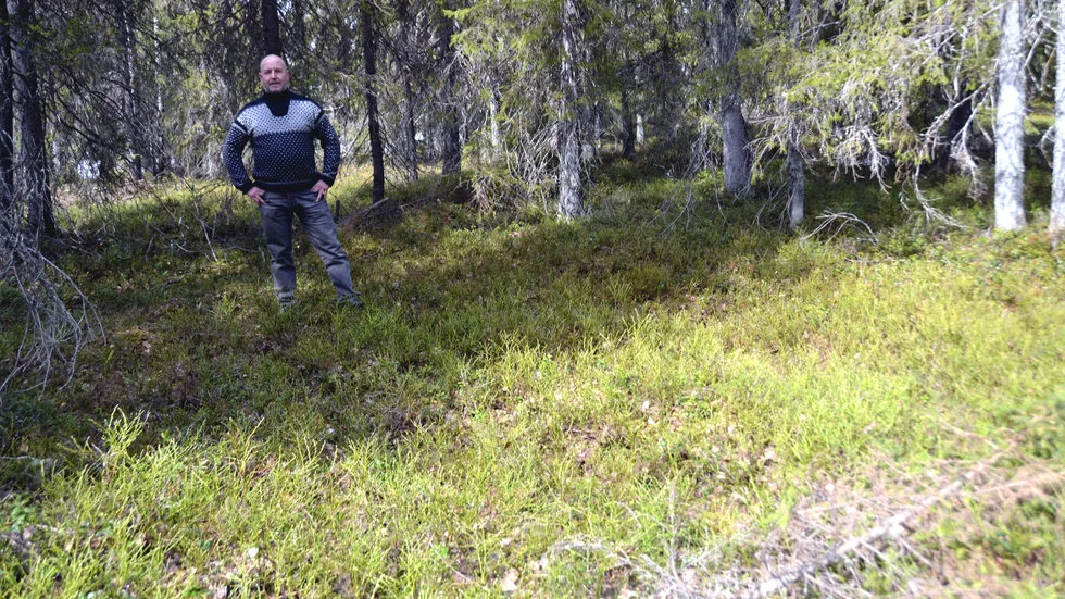 "Det skulle aldrig ha funnits en plan för exploatering av Rågholmen, och därför behövs dels en intern utredning, dels en extern oberoende utredning" säger Gaute Larsen.