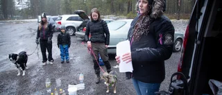 Ny förening ska aktivera hundägare i Piteå