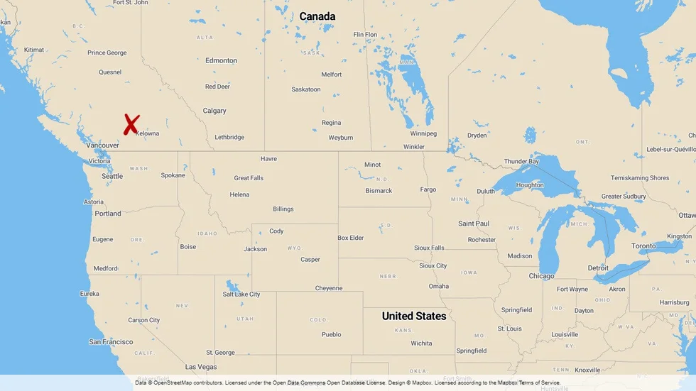 Ett av det kanadensiska flygvapnets plan störtade under en flyguppvisning i provinsen British Columbia.
