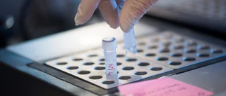 Uppsalaföretag satsar på vaccinproduktion