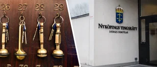 Bedragare lurade till sig hyreskontrakt och hotellnätter – plundrade gårdsbutik