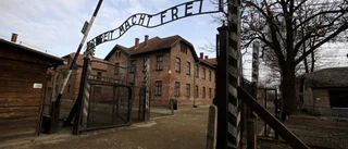 Museiledning i Auschwitz vädjar om bidrag