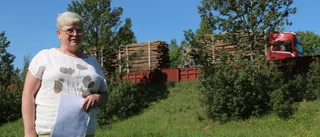 Domstolen säger nej till högre bullerplank