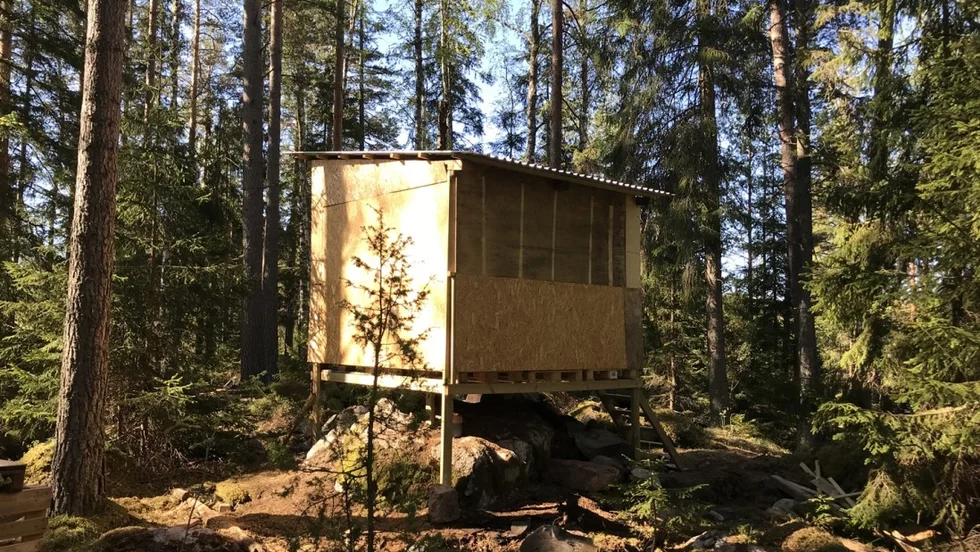Den otillåtna kojan upptäcktes i slutet av maj när Länsstyrelsen var i naturreservatet i ett annat ärende. 