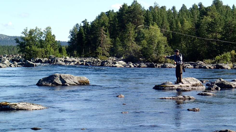 Säsongskort (sommartid) för fiske i Arjeplogsströmmarna har höjts från 500 till 1 250 kronor. Bara ortsbor får köpa årskort för 750 kronor. Inte ens stugägare i Arjeplog får den möjligheten. (Arkivbild)
