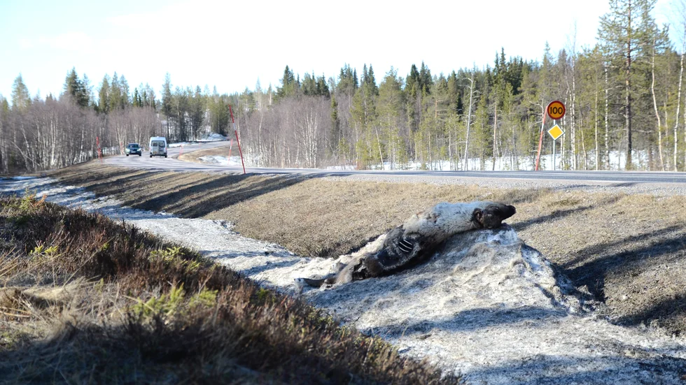 Från och med den första december sänks hastigheten på E10 från 100 kilometer i timmen till 80 kilometer i timmen. Den sträckan som berörs är från Gällivare ned till Leipojärvikorsningen. 