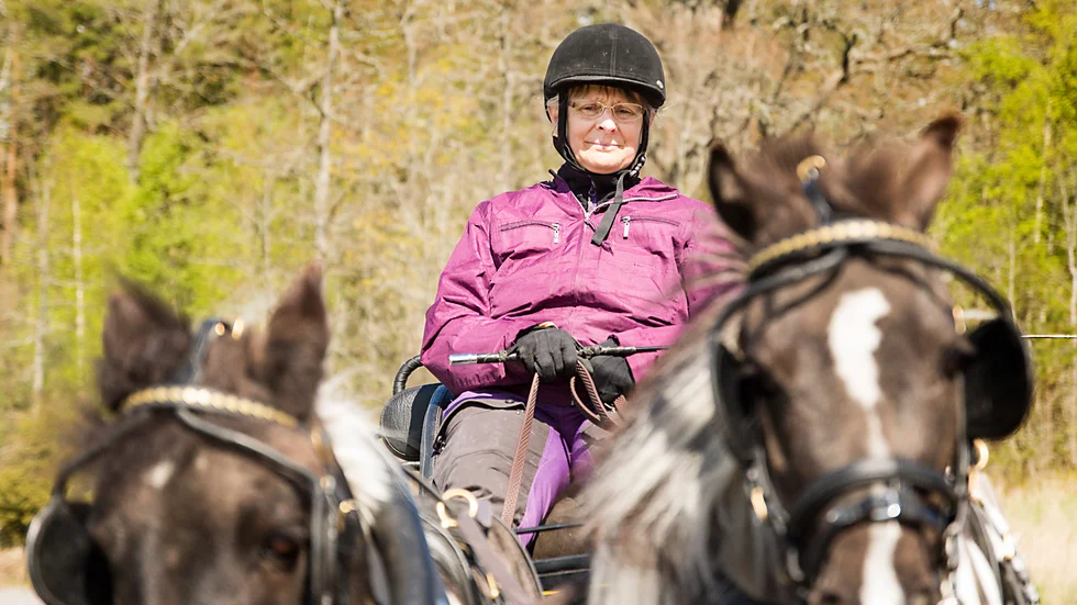 Eva Rubin har avlidit i en ålder av 62 efter en kort tids sjukdom. Så sent som i september tävlade hon i sportkörning. Här på träningsrunda med parhästarna Nubia och Cookie.