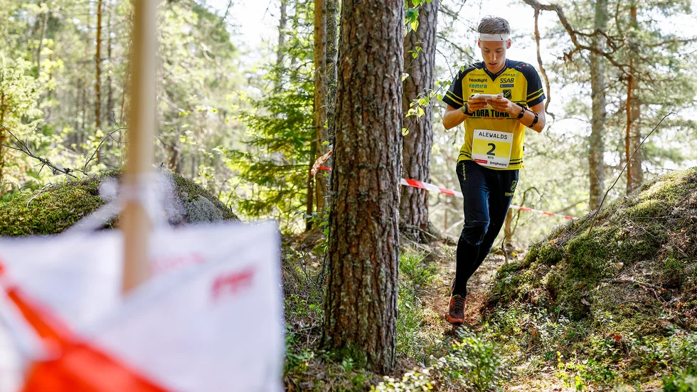 Emil Svensk under O-ringenveckan. Nu går det att prova terrängen med samma karta som stjärnorna sprang med förra sommaren.