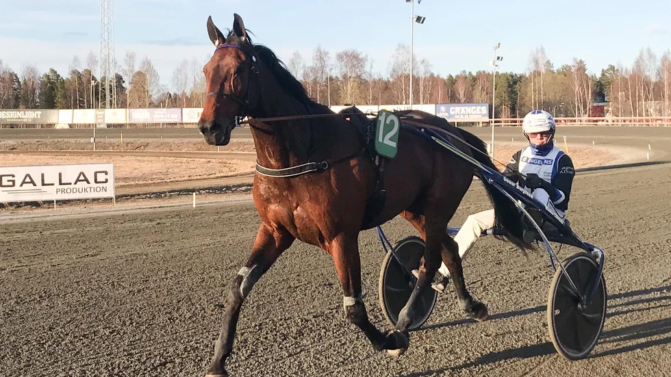 Pleasure For Cash och Magnus A Djuse efter en seger i Skellefteå