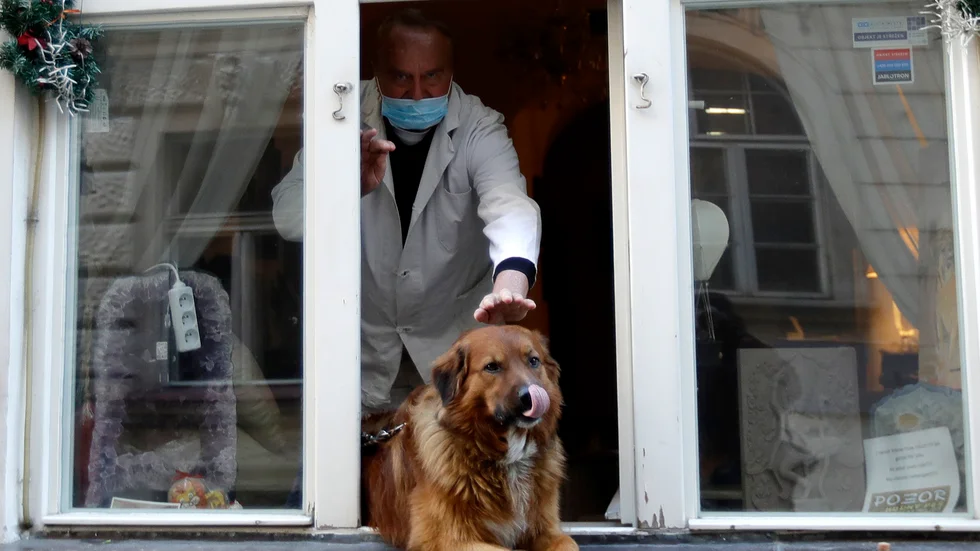 En munskyddsförsedd man klappar en hund som får lite frisk luft i Prag, Tjeckien.