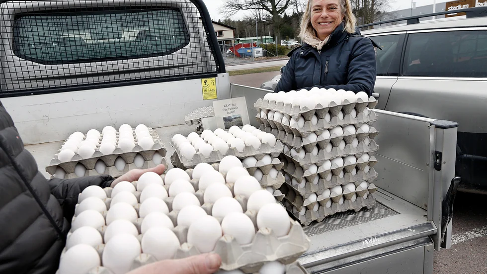 Louise Franzén, Valstad gård, med ägg från sina kravhöns. 