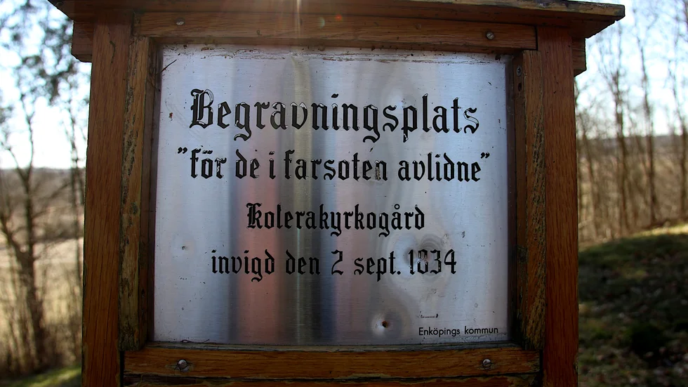 Kommunens minnestavla om kolerakyrkogården på Gröngarn.