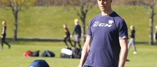 "Känns nästan som att Hockeysverige styrs med joystick"