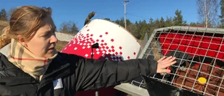 Nytt slag mot Ryssbergsbacken 