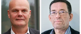 Att skippa folkomröstningen väcker kritik 