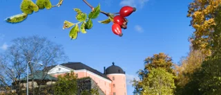 "Hög tid att konsten abdikerar från slottet"