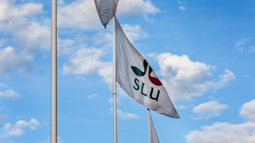 Eftersom SLU själva rapporterade in misstaget till Elmyndigheten (EM) får de 41 000 kronor i rabatt på avgiften.