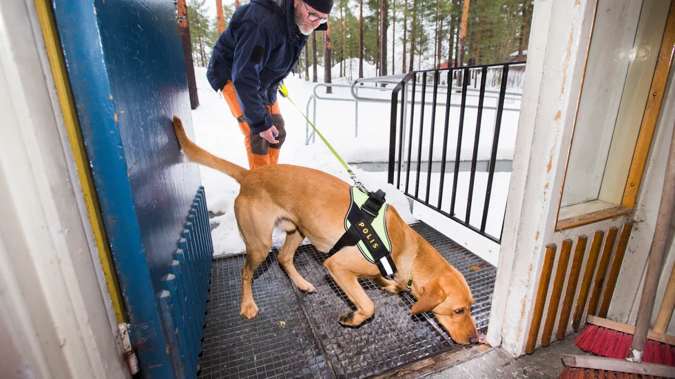 Morris, 18 månader, är polisens nya tillskott. Tillsammans med hundföraren, polismannen Roger Markaberg är tänkt att paret ska gå in på olika brottsplatser för att leta bevis.