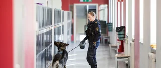 "Knarkhundar" sökte igenom högstadieskola 