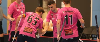 En rosa debutsäsong att minnas