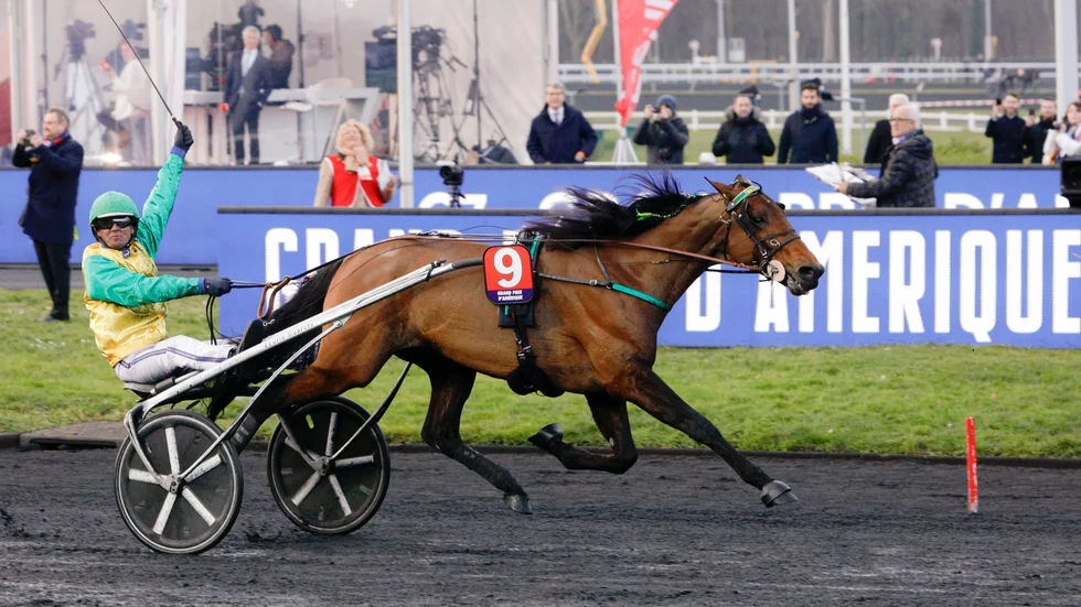 Björn Goop vann Prix d'Amérique.