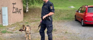 Så kunde Skelleftepolisen gripa knivmördaren: ”Ropar att han ska stanna, sedan släpper jag hunden”