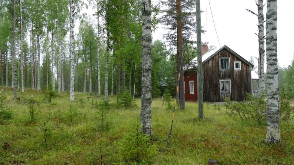 Lillträsk 13 Jörn, har varit obebott sen 80-talet. I oktober såldes fastigheten för 115 000 kronor.