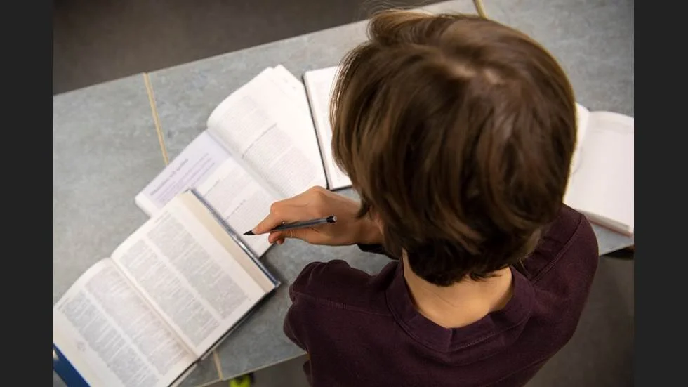 Piteå kommun tvingas lämna ut alla grundskoleelevers åtgärdsprogram, detta till en kvinna i södra Sverige som begärt ut dem.