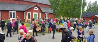Skellefteå trädgårdssallskap firar 80 år i år