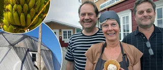 Här är bananglassen som är unik i Sverige