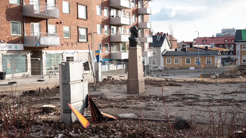 Gustav II Adolf ”Gurra” kommer fram ur fällda träd i Stadsparken inför att Luleå 2021 ska fira sitt 400-årsjubileum. 