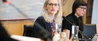 Därför vill Socialdemokraterna inte bygga storskolan