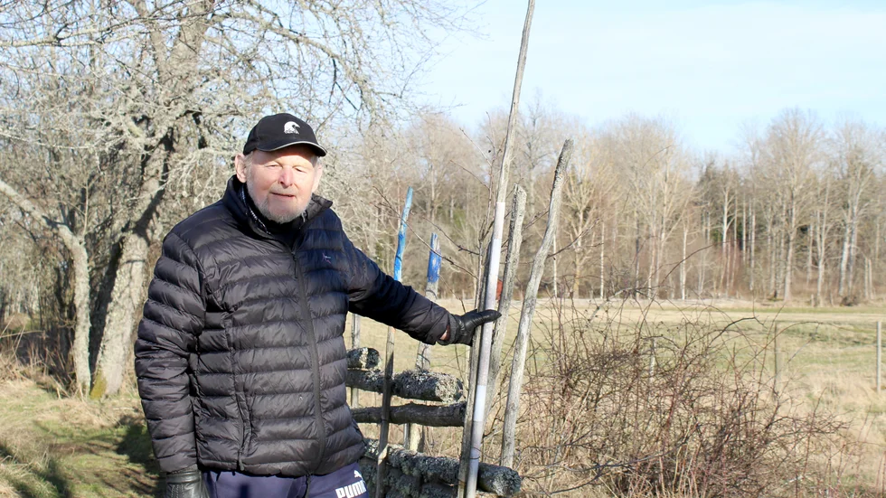 Torsten Ungsäter har märkt av en markant ökning av vandrare på Djursdalarundan den senaste tiden. 