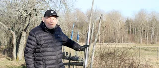 Allt fler ger sig ut i naturen 