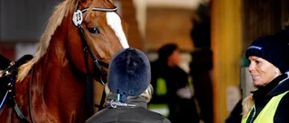 Ridsportförbundet ställer in tävlingar 