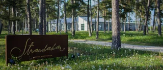 Hemester på Strandakar        