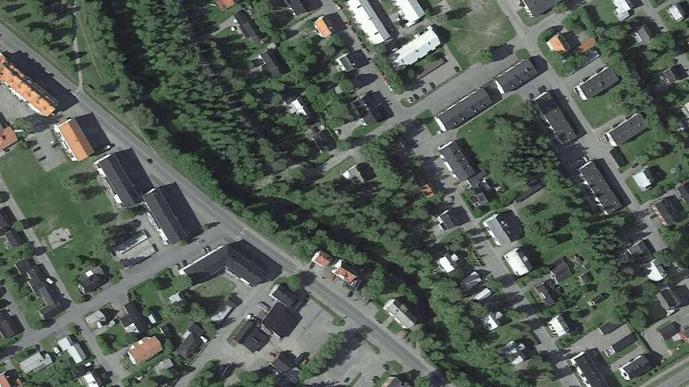 Området kring Skogsgatan 19